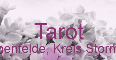 Tarot Hohenfelde, Kreis Stormarn | Top-Experten für Kartenlegen, Wahrsagen, Hellsehen, Zukunftsdeutung. Tarot Hohenfelde, Kreis Stormarn | Top-Experten für Kartenlegen, Wahrsagen, Hellsehen, Zukunftsdeutung.